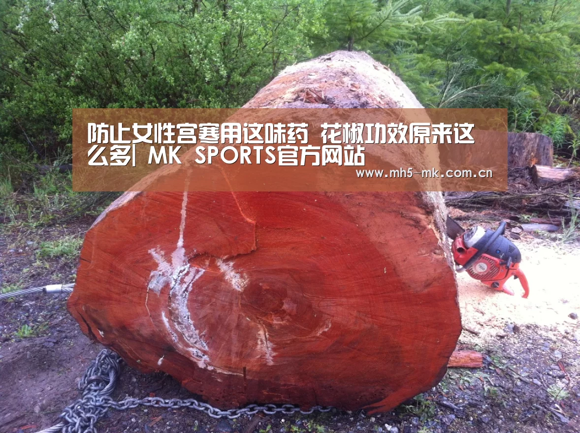 MK体育 