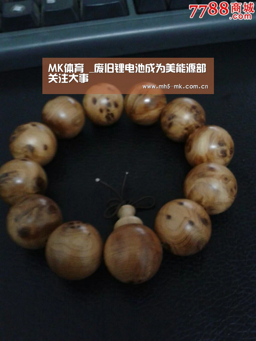 MK体育 _废旧锂电池成为美能源部关注大事(图1) MK SPORTS官方网站