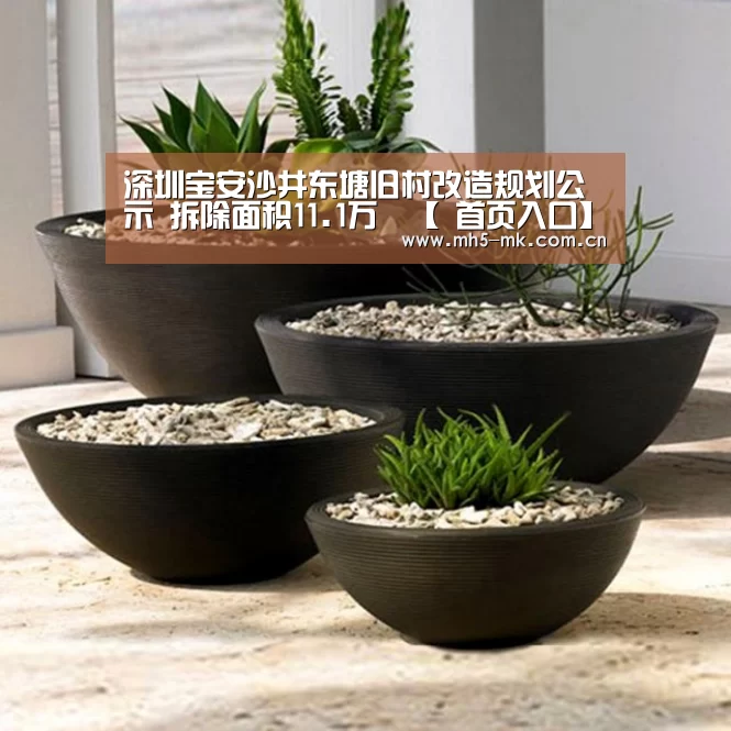 深圳宝安沙井东塘旧村改造规划公示 拆除面积11.1万㎡【 首页入口】(图2) 首页入口