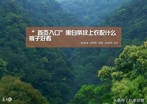 MK体育 