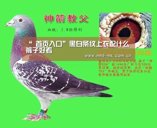  首页入口