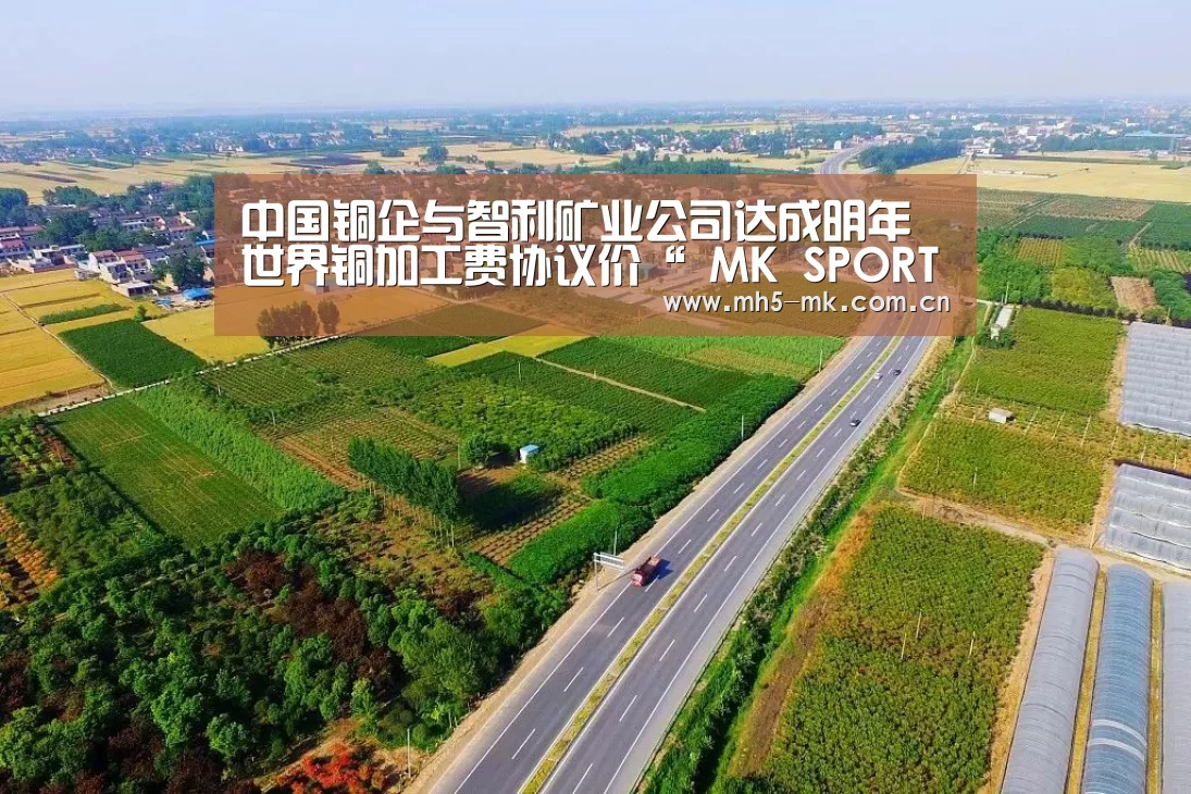 MK体育 